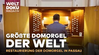 GRÖSSTE DOMORGEL DER WELT Restaurierung von Passaus monumentaler Domorgel  MAGAZIN [upl. by Llebpmac]