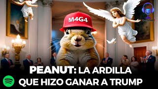 VIDEO PODCAST ¿QUÉ SE TEJE  CAP 019 PEANUT LA ARDILLA QUE HIZO GANAR A TRUMP [upl. by Drusus330]