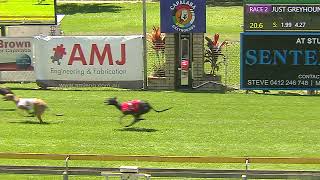 CapalabaWednesday23102024Race2 [upl. by Zsuedat]