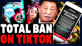 TikTok Ban APPROVED By White House TikTok PANICS amp Begs Users To Call Government [upl. by Voltz]