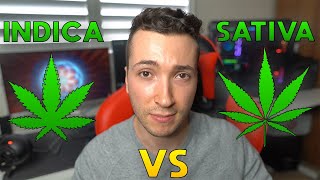 Indica Vs Sativa Its Not What You Think [upl. by Libbey]