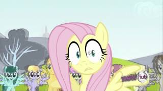 fluttershy freaks out [upl. by Constancy]