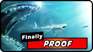 Megalodon Sharks Are Alive New Footage amp Scientific Evidence Must Watch  Absolute Nature [upl. by Sulrac]