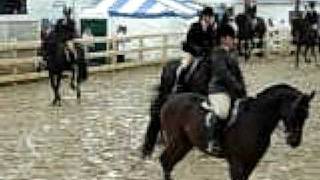 Friesians showing in Championship class Deerfield Fair NH [upl. by Ignacia]