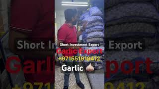 Watch Low Investment Export Garlic 🧄 Export To Dubai LCL Container klickexim [upl. by Schug269]