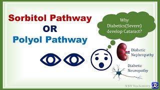 21 Sorbitol or Polyol Pathway  Carbohydrate Metabolism  Biochemistry  NJOY Biochemistry [upl. by Lora]