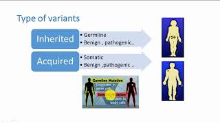 62 Mutation and variants part TWO Types and classifications [upl. by Sukey]