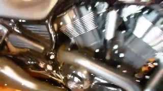 HarleyDavidson VRod 10th Anniversary Edition 2012  see also Playlist [upl. by Wehttam572]