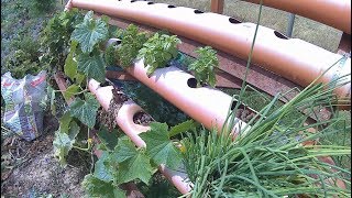 DIY Hydroponic Hydrokultur Inselanlage mit Solarstrom [upl. by Malloy110]