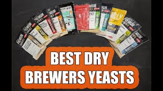 The BEST DRY BEER YEAST Strains for Homebrewers [upl. by Kristel]