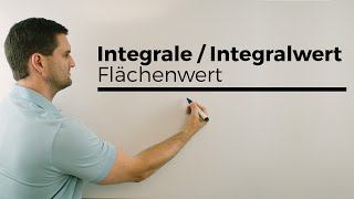 Integrale Integralwert Flächenwert im Sachzusammenhang  Mathe by Daniel Jung [upl. by Tsan]