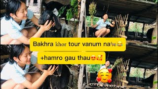 Aj bakhra khorBarigaughar ko tour haii😂😂suminalimbuvlog❤️ [upl. by Initirb274]