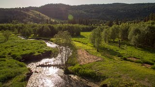 Triple Creek [upl. by Lleirbag649]