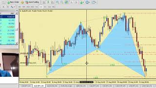 AUDJPY Bullish Shark Harmonic Pattern  2nd Sept 2018 [upl. by Haran]