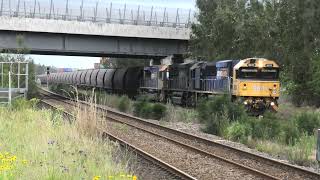 MT332 at sandgate 11 52 9031 9028 TT132 on 11 11 24 [upl. by Charlot997]