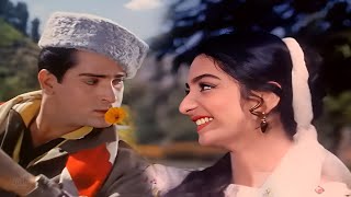 मेरे यार शब्बा खैर  Junglee 1961  Shammi Kapoor  Saira Banu Lata Mangeshkar amp Mohd Rafi Duets [upl. by Celestine945]