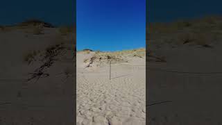 The Dead Dunes Cemetery in Nagliai Nature Reserve [upl. by Lorant249]