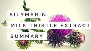 Milk thistle extractssilymarinsilibinSilybum marianum benefitsfunctionsproduction 2018 Organic [upl. by Raddy]