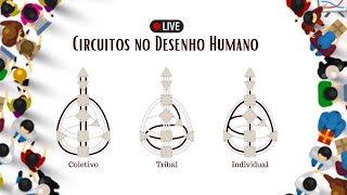 Os Circuitos no Desenho Humano  Reunião 05 [upl. by Nahte]