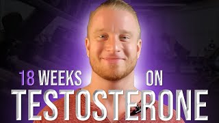 18 Week Testosterone Cycle Update [upl. by Towers]