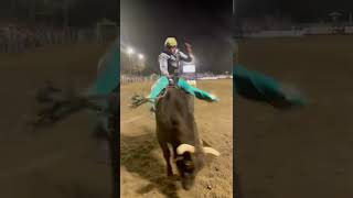 Jonny Perez getting it done atthe Poway Rodeo rodeo bullriding rodeovideos cowboys [upl. by Swerdna]