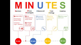 MUNITES bundle the first 30 min in the management of circulatory shock [upl. by Aksehcnarf]