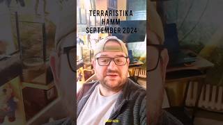 Terraristika Hamm 2024 shorts spinne terraristik [upl. by Dominga278]