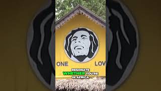 Bob Marley The Unifying Force Behind Global Music [upl. by Lolita]