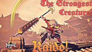 Nioh 2  AxeOdachi Build  Kaido Build DotD [upl. by Gabriello]