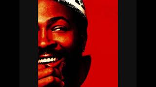 Marvin Gaye  Whats Going On Extended version [upl. by Enaz]