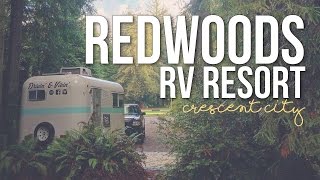 Redwoods RV Resort in Crescent City California  a Drivin amp Vibin Travel Vlog [upl. by Genevra302]