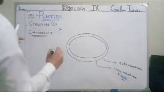 Biology Lecture 9 Grade 9 [upl. by Avat]