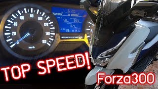 ลองให้รู้ Honda Forza300 TOP SPEED  ที่เขาเคลมว่าได้ 129 กมชม [upl. by Yvehc252]