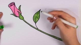 How to Draw a Rose for Beginners  Pink Rose Bud Art Tutorial CC [upl. by Oivat]