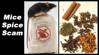 Debunking The Mice Spice Scam Dont Fall For This Mousetrap Monday [upl. by Taam]