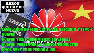 Legislador de EEUU critica el seguimiento “descuidado” de TSMC y Huawei Huawei aumenta ventas [upl. by Eunice774]