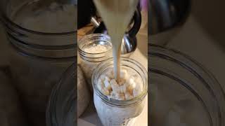 Corn Harvesting husking shelling canning [upl. by Ashleigh]