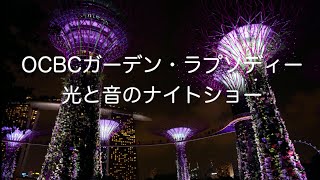 シンガポール ひとり旅 スーパーツリー・グローブのナイトショー [upl. by Rotman624]