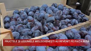 FRUCTELE ȘI LEGUMELE MOLDOVENEȘTI AU REVENIT PE PIAȚA RUSĂ [upl. by Pegma320]