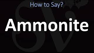 How to Pronounce Ammonite CORRECTLY [upl. by Latricia129]