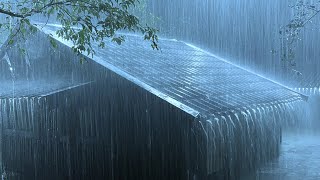 Relieve Stress Immediately to Sleep Soundly with Heavy Rain amp Thunder Sounds on a Tin Roof at Night [upl. by Aikemaj584]