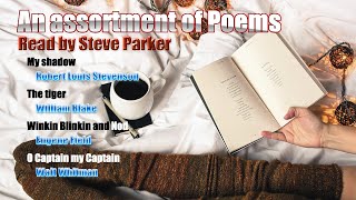 A Poetry Reading [upl. by Ian]