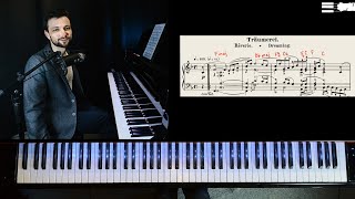 Schumann Träumerei  TutorialAnalysis [upl. by Aisiram621]