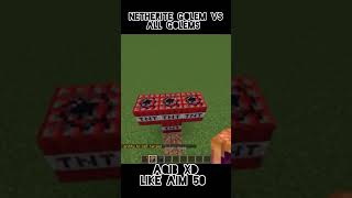 netherite Golem Vs All Golems minecraft [upl. by Cleti]