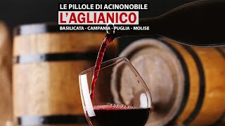 L Aglianico Il Barolo del Sud [upl. by Eldon134]