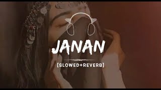 Janan Song  SlowedReverb  Hadiqa Kiani amp Irfan Khan  Slowed Echoes [upl. by Airamas]