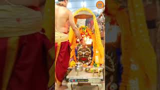 Mahakal Bhasam Aarti  Today mahakal darshan  Mahakal Ujjain shortvideo ytshorts youtubeshorts [upl. by Natala]