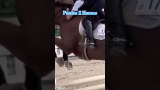 Ponies to Horses horse equestrian shortsvideo [upl. by Emaj]