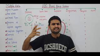 Ch22 Lec8 Multiple allele UrduHindi Lecture MDCAT NEET Fsc Preparation By M Bilal Chaudhary [upl. by Gianina385]