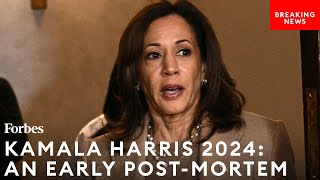 This Is The Moment In The 2024 Presidential Contest When Kamala Harris Was Doomed Dem Strategist [upl. by Niad]